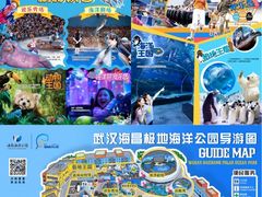 -海合安武汉极地海洋公园