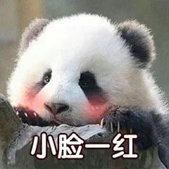 -TRIMS HAIR 修剪造型·烫染接发