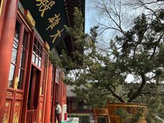 -正阳书局(西四南大街店)
