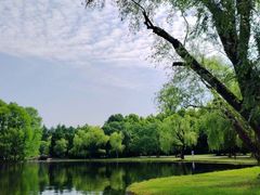 -上海共青森林公园