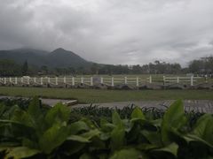 -瑞穗牧场