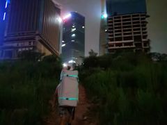 -重庆市江北嘴中央商务区中央公园