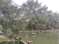 -房湖公园