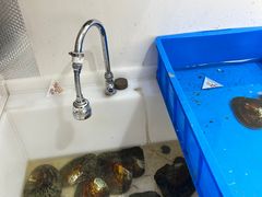 -蚌精BangGem·手工DIY(园区店)