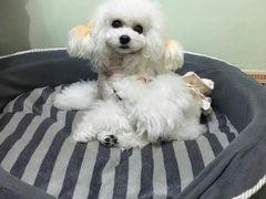 -沐沐家宠物(成寿寺店)