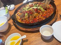 -老板恋上鱼(恒隆广场店)