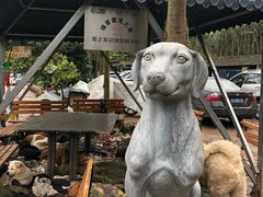 -成都爱之家动物救助中心