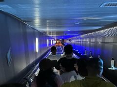 -白鹤梁水下博物馆