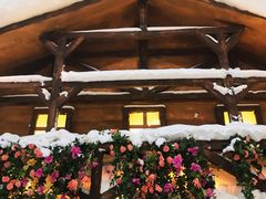 -世界之窗阿尔卑斯冰雪世界