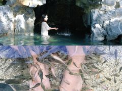 -苏州湾·王焰温泉