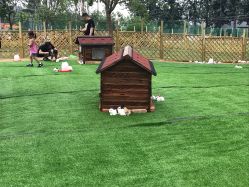 -萌宠亲子动物乐园(槐房万达店)