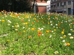 -做了不起的80后