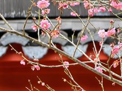 -大慈岩风景区