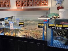 -闽海肴(北辰荟店)