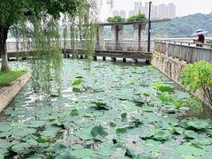 -月湖风景区