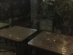 露天位-两棵枇杷树