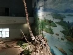 -自贡恐龙博物馆