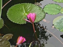 -四海公园(南山区)