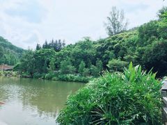 -云溪植物园
