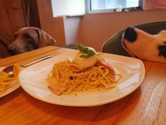 -the rug 飞毯 (朝阳公园店)