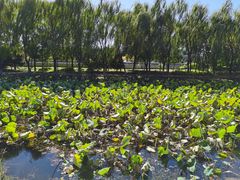-东升八家郊野公园