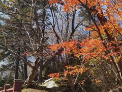 -老秃顶草原景区