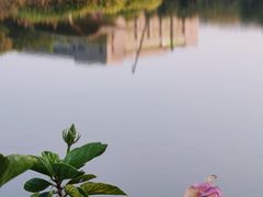 -福田红树林生态公园