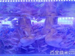 -姑妈嫁妆涮羊排专业火锅(中央大街一店)