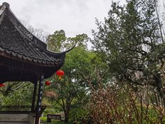 -上海醉白池公园