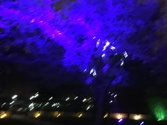 -唐廊烤鸭店(工体店)