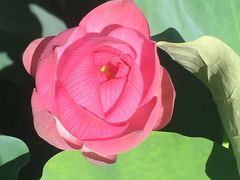 -韶山毛泽东同志故居