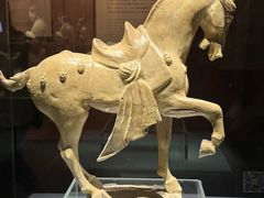 -辽宁省博物馆