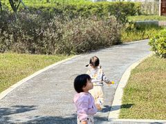 -宝安西湾红树林湿地公园