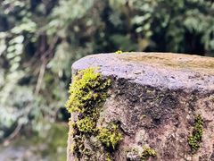 -西岭雪山大飞水景区