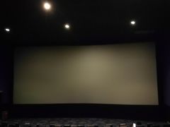 -AMG海上明珠影城(上海环球港RealDCinema店)