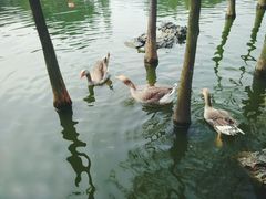 android_upload_pic-东莞市可园博物馆