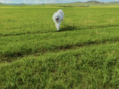 -莫日格勒旅游景区