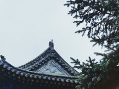 -五台山风景名胜区