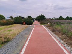-西京湾花海