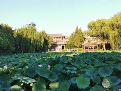 -莲池书院博物馆