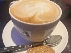 -blue frog蓝蛙(长泰广场店)