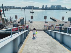 -五缘湾游艇帆船俱乐部