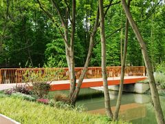 -桤木河湿地公园