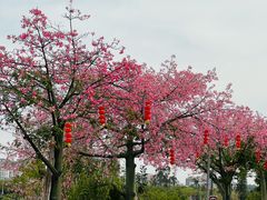 -大旗头古村