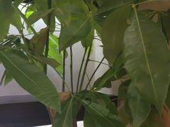 -沪碟·精菜坊(闵行店)