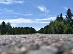 -塞罕坝国家级自然保护区