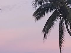-JW万豪厨房餐厅·滨海草坪烧烤·海鲜·海景(三亚绿发山海天JW万豪酒店)