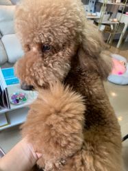 -첫번째 初见美学中心