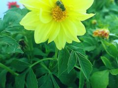 -绥化市森林植物园