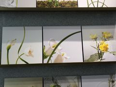 -喜茶(合肥正大广场店)